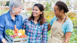 Three people smiling and holding a crate of fresh vegetables at a farmer’s market, highlighting community, healthy living, and seasonal eating.