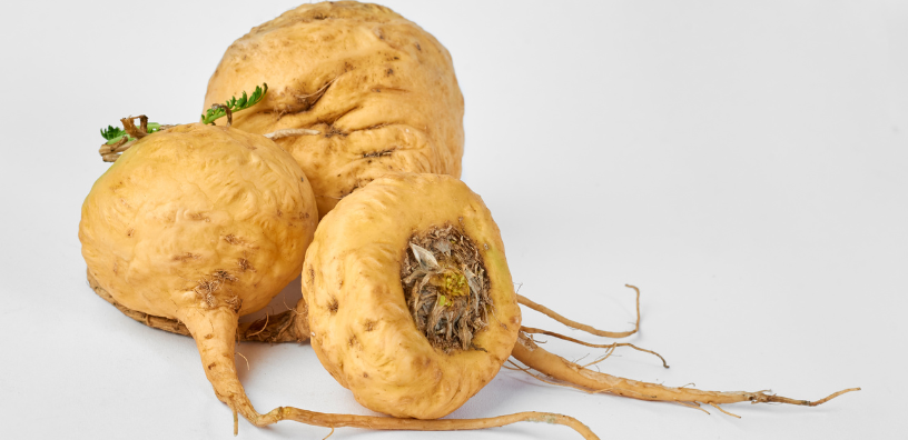 Tri-Color Maca Root: The Gold Standard for Modern Wellness