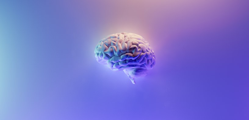 Top Supplements to Support Cognitive Health
