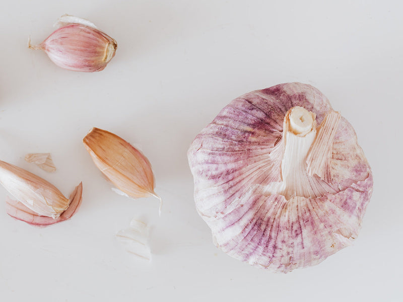 A close up of a garlic on a white background.